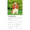 BrownTrout; Basset Hounds | 2027 7 x 14 Inch (Hanging) Monthly Mini Wall Calendar; Category:Wall Calendars; Image:5